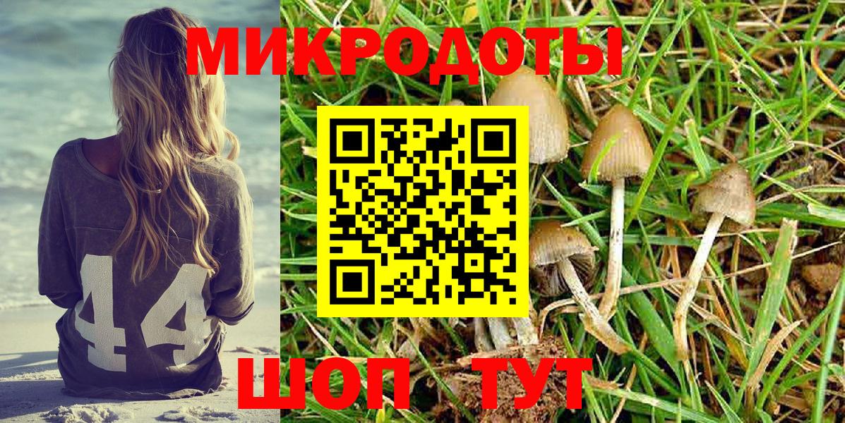 Галлюциногенные грибы ЛСД Черемхово